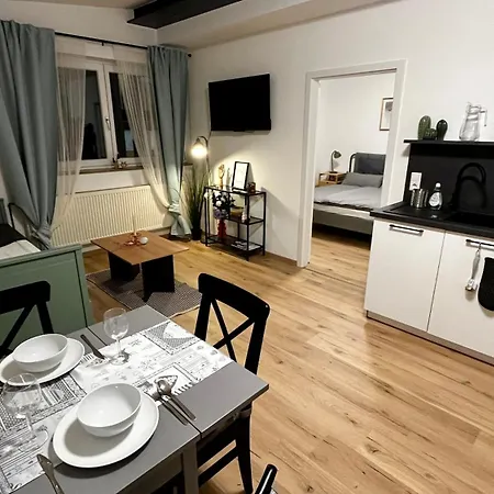 Wohlfuehlwohnung Mit Dachterrasse * Donaueschingen